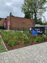 5e laureaat | Berlaar | Den Bokal - Bijenvriendelijke tuin