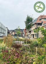 1e laureaat | Oostkamp | Schooldreef