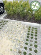 1e laureaat | Damme | Bijennestvriendelijke parking