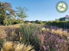 2e laureaat | Lier | BijSIONder