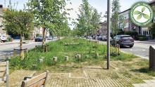 3e laureaat | Antwerpen-Merksem | Catershoflaan