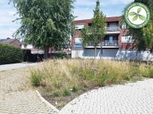 3e laureaat | Steenokkerzeel | parking Mulslaan