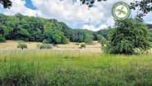 3e laureaat | Leuven | De Bunswyck