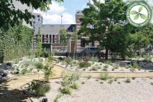 6e laureaat | Leuven | Klimaattuin