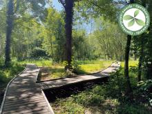 7e laureaat | Antwerpen-Merksem | Vlonderpad