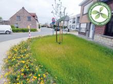 7e laureaat | Lede | Heiplasstraat