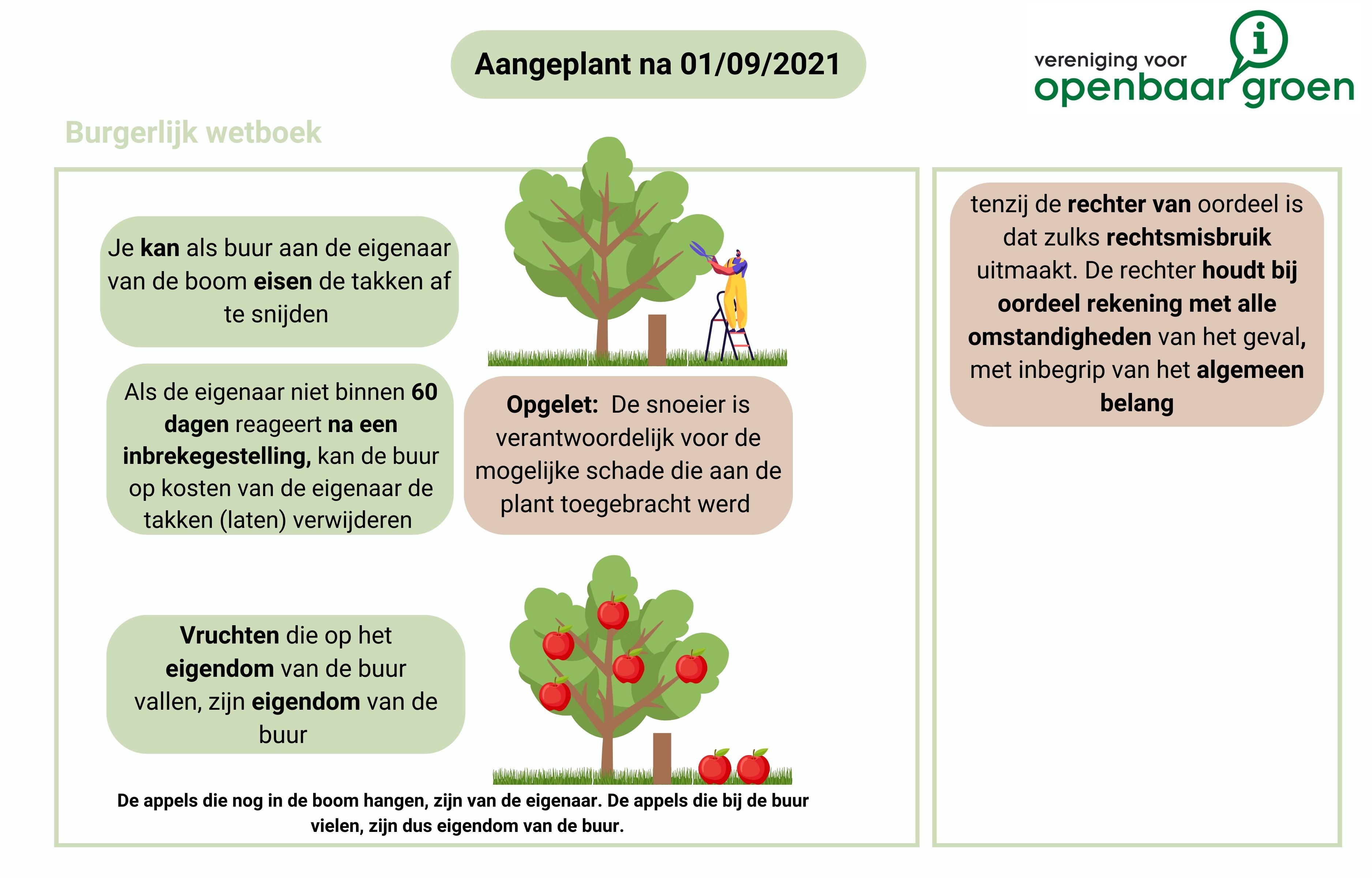 Overhangende takken in Vlaanderen: Burgerlijk Wetboek