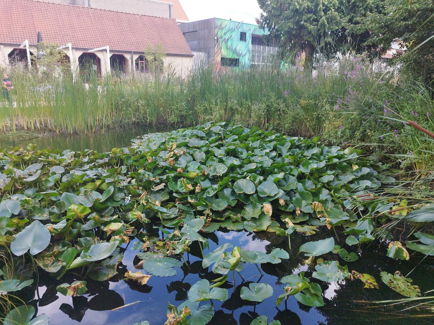 Torhout - Park de Brouckere